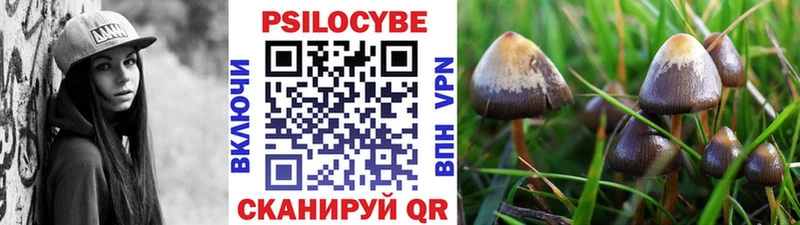 MEGA ONION  Данков  Псилоцибиновые грибы Psilocybe 