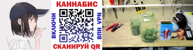 Каннабис MAZAR  Данков 